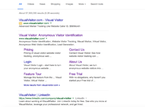 Google SERP - Visual Visitor