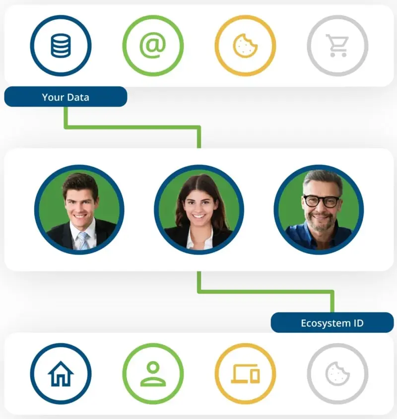 Ecosystemid